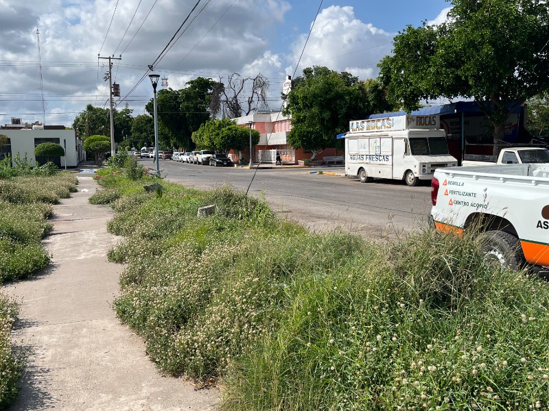 Peatones del Centro de Guasave exigen desmonte urgente de banquetas