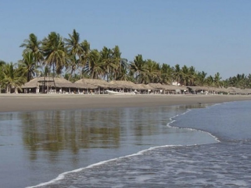 Peces muertos aparecen en playa de Puerto Arista
