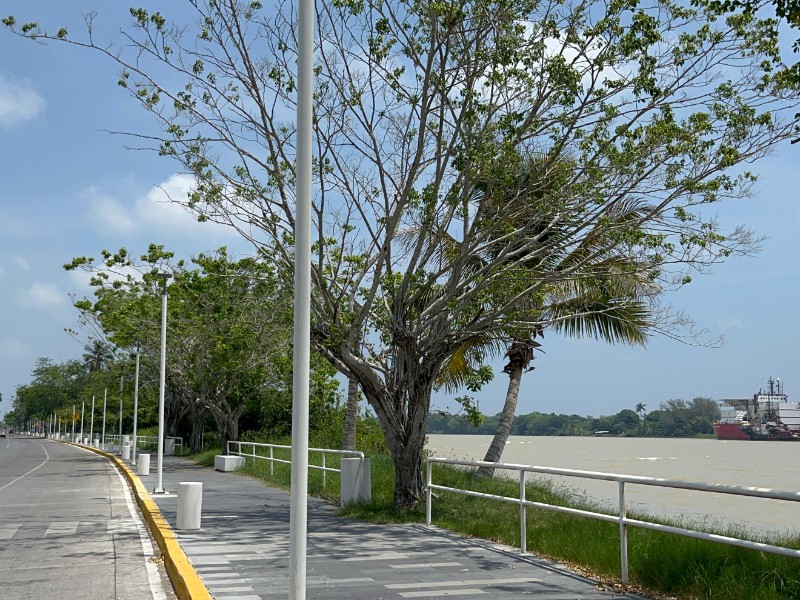 Pendiente encendido de luminarias en bulevares