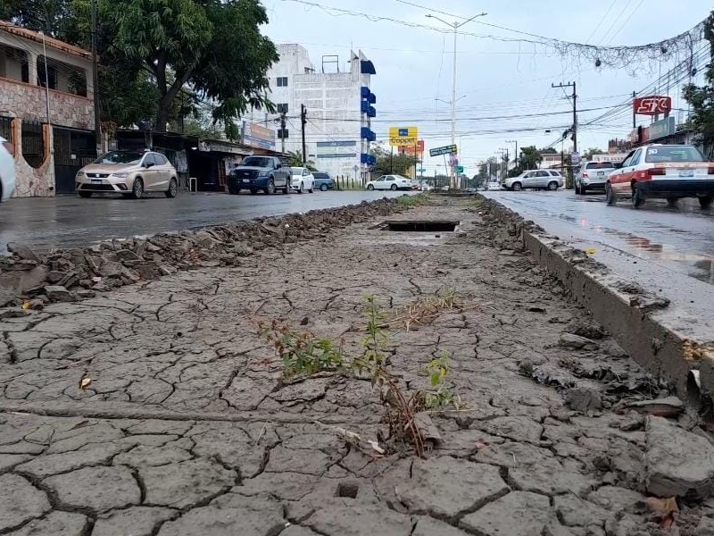 Pendiente limpieza en camellones