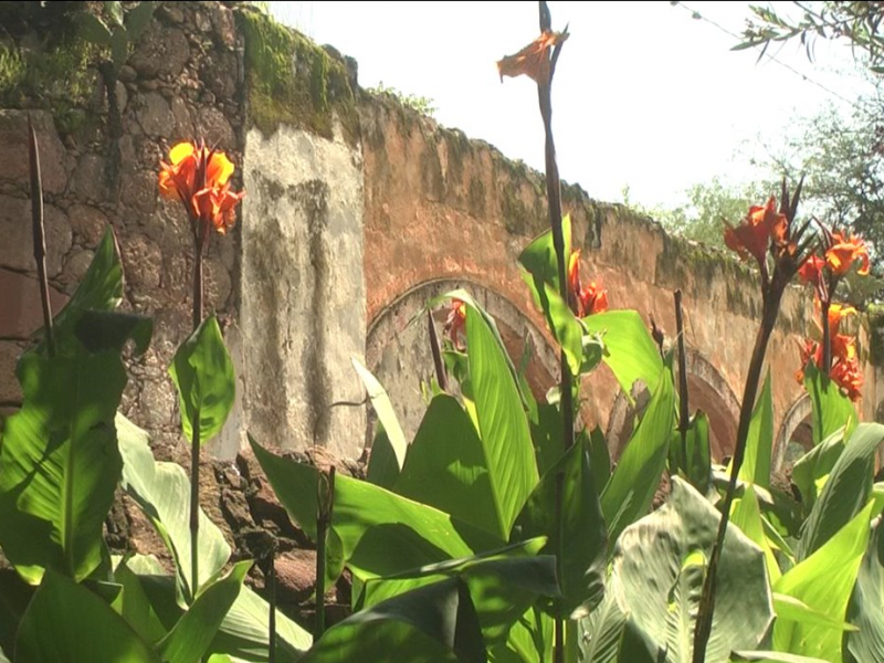 Pendiente proyecto en áera natural protegida