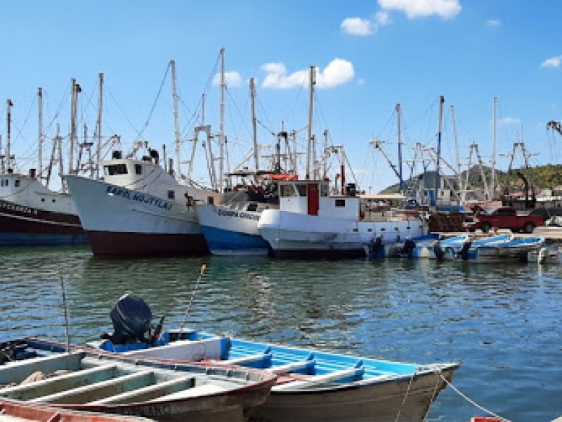 Pequeños armadores no saldrán a captura de camarón