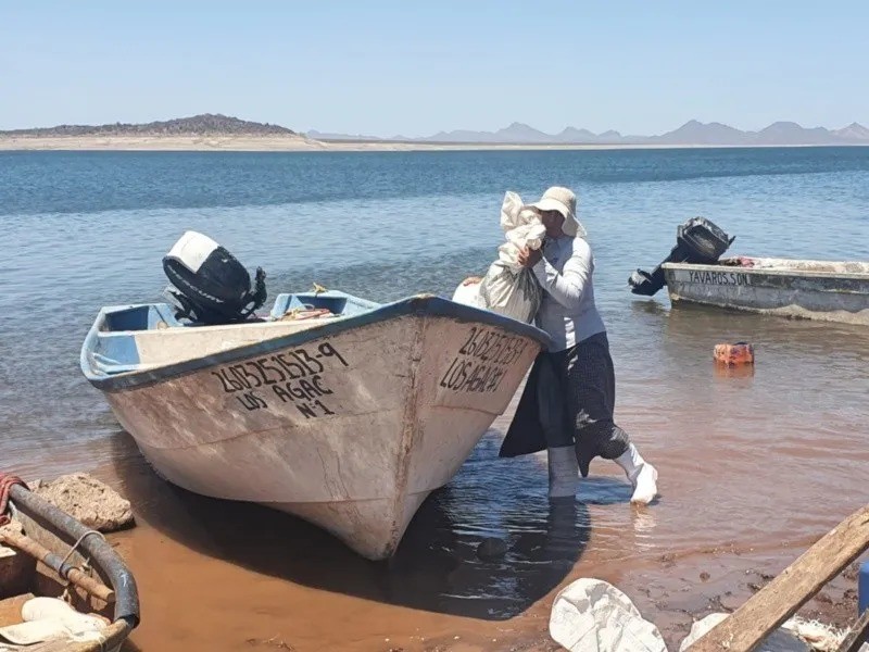 Pequeños ganaderos perdieron su hato; Ahora son pescadores