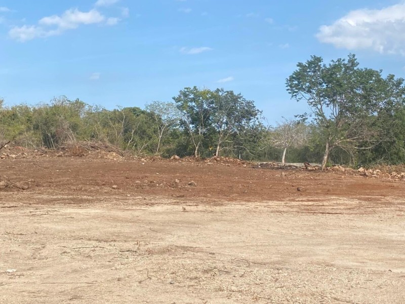 Pérdida del espacio verde, el crecimiento urbano