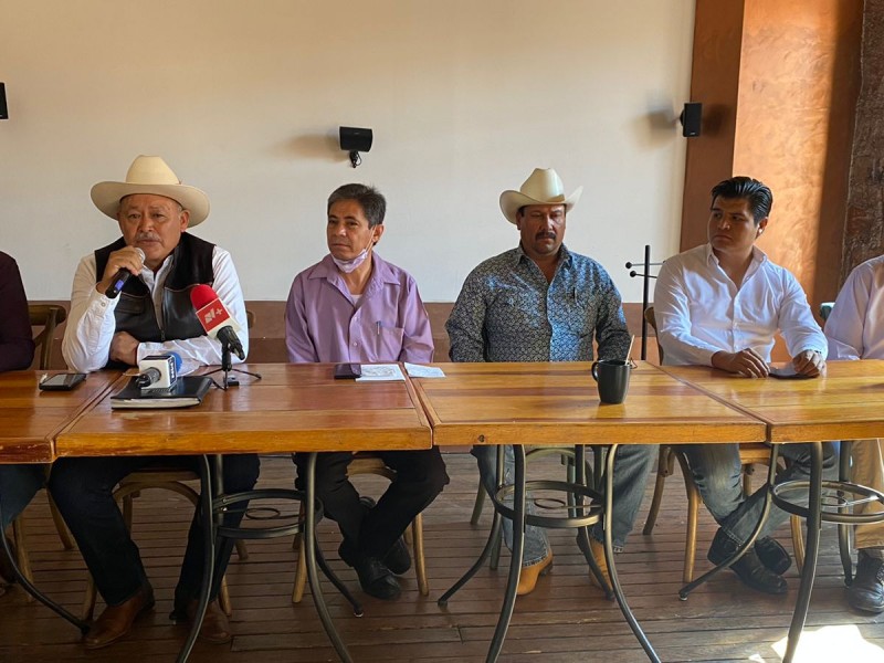 Perdidas agrícolas por variación de voltaje en bombas de agua