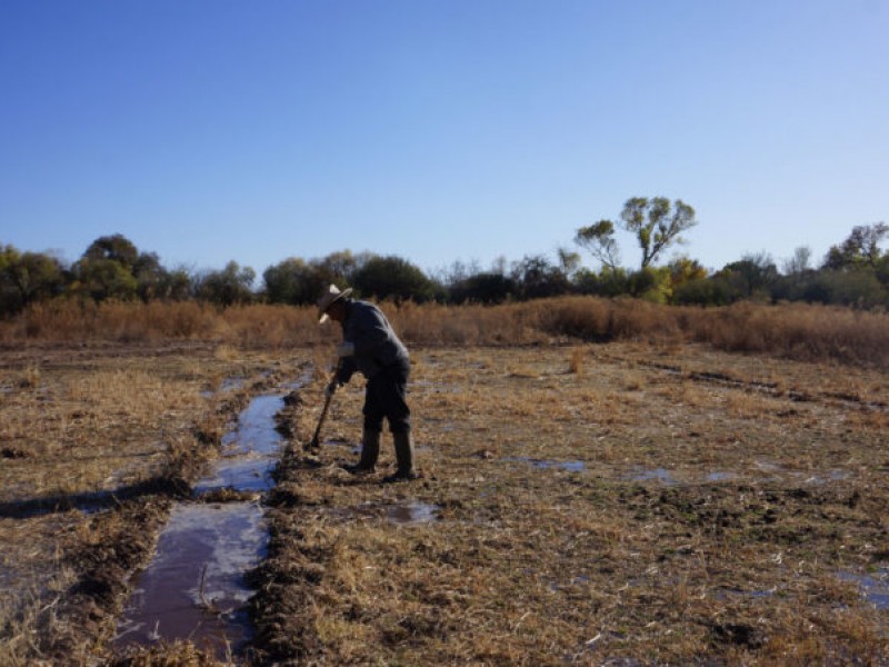 Pérdidas económicas en Río Sonora superan los 10 mil mdp