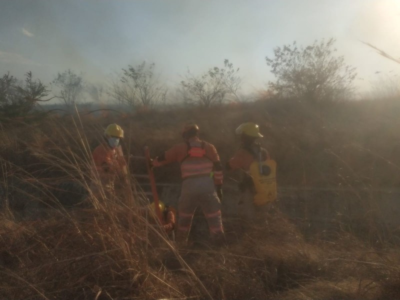 Permanece Chiapas en primer lugar nacional por Incendios forestales