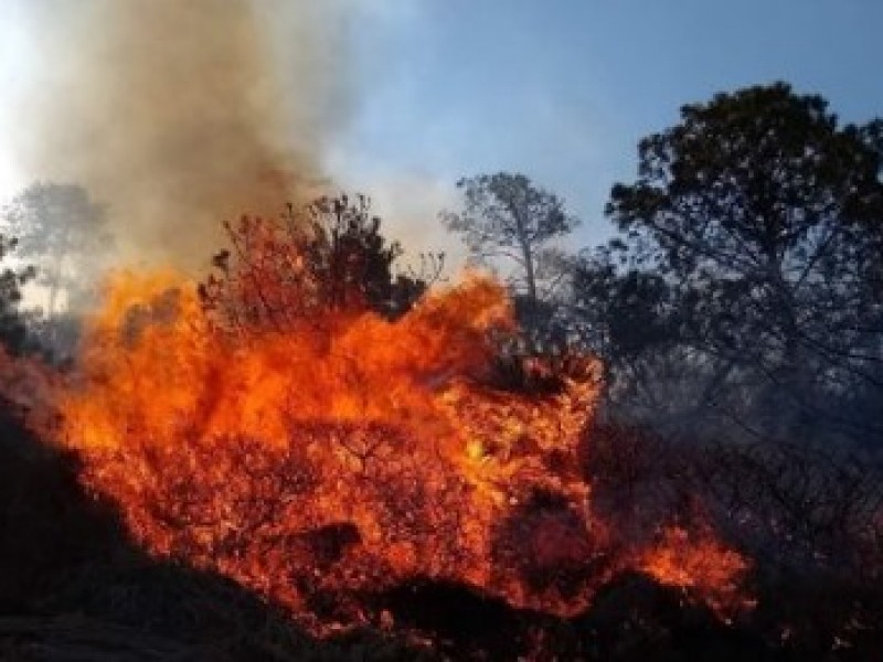 Permanecen activos 7 incendios forestales en Veracruz