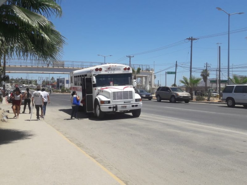 Permanente vigilancia por parte de transporte municipal