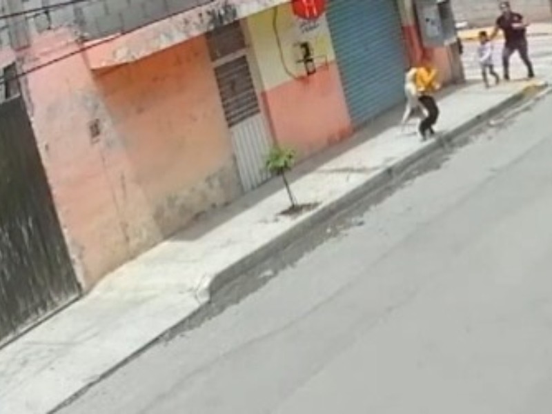 Perro agresivo en la Colonia San Rafael