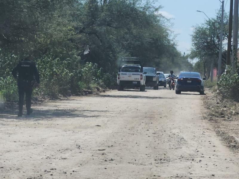 Perro arrastra bolsa y deja al descubierto feto
