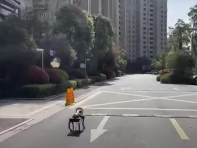 Perro robot patrulla calles de Shanghái