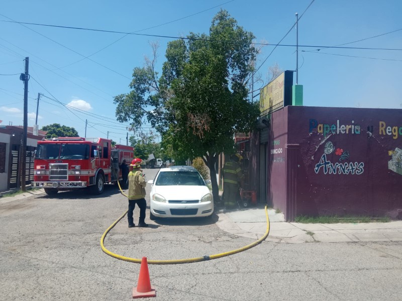 Perro y gato resultan intoxicados durante incendio de casa