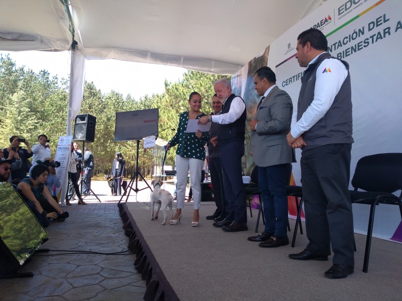 Perros podrán ser  registrados en Edomex