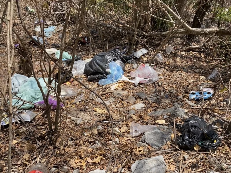 Persiste contaminación en playa Contramar por gente que tira basura