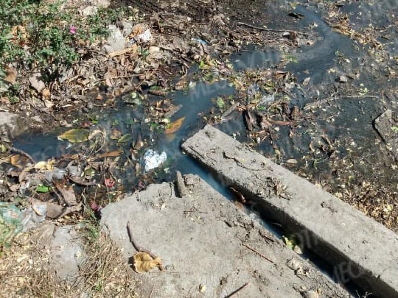 Sin atención fugas de aguas negras en Salina Cruz