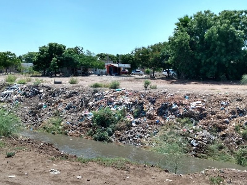 Persiste significativas cantidades de basura en drenes