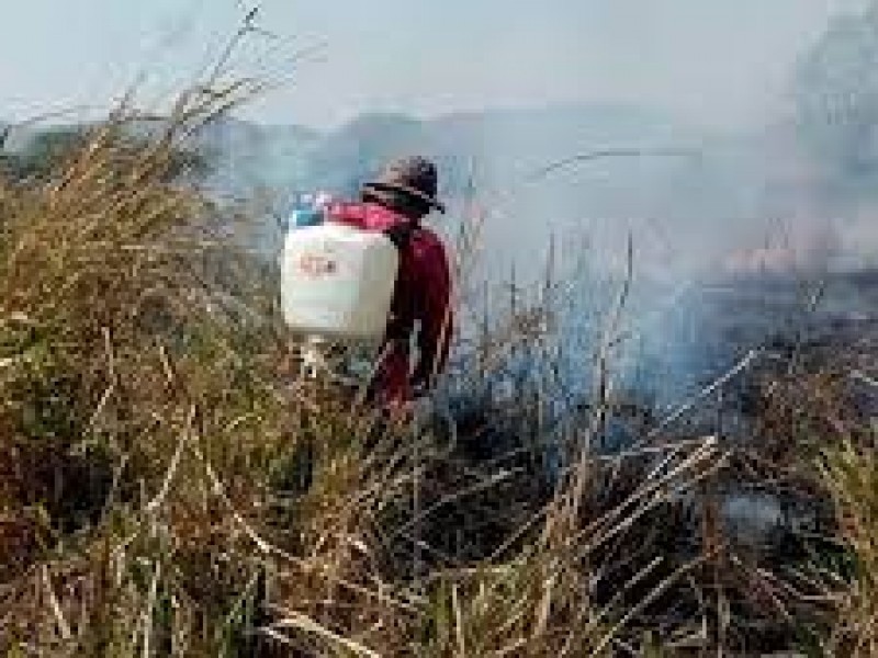 Persisten cinco incendios forestales en Chiapas