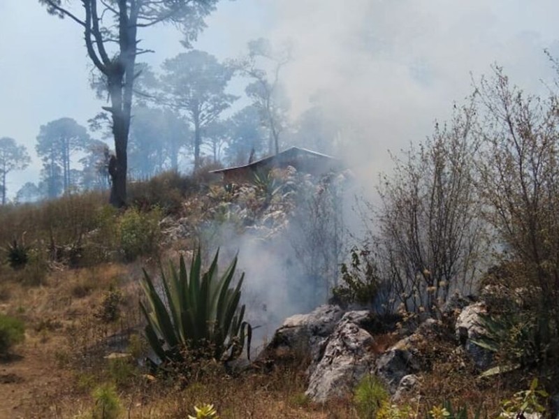 Persisten conflictos agrarios y violencia entre comunidades de la Mixteca oaxaqueña Persisten conflictos agrarios y violencia entre comunidades de la Mixteca oaxaqueña