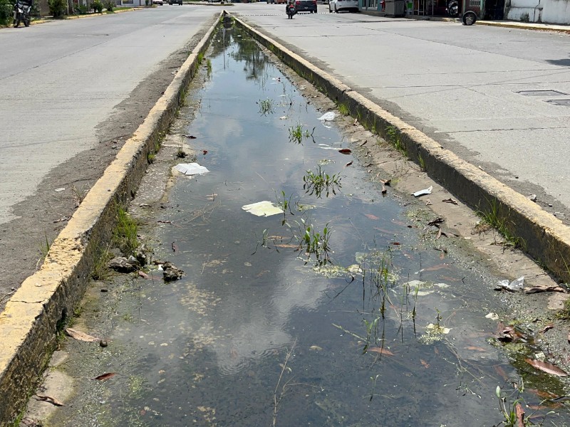 Persisten encharcamientos y basura en camellones de la avenida Cuauhtémoc