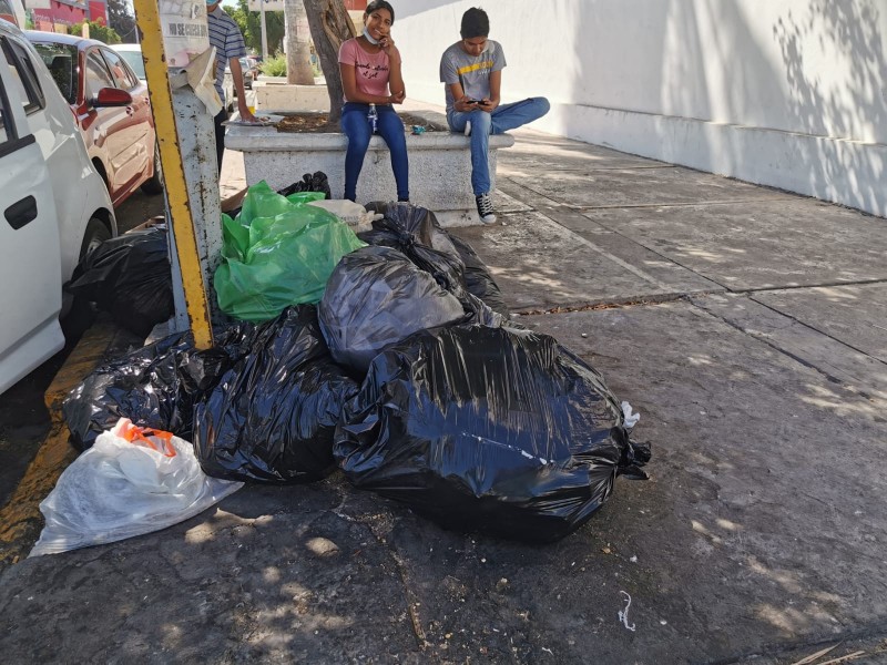 Persisten fallas en el servicio de recolección de basura