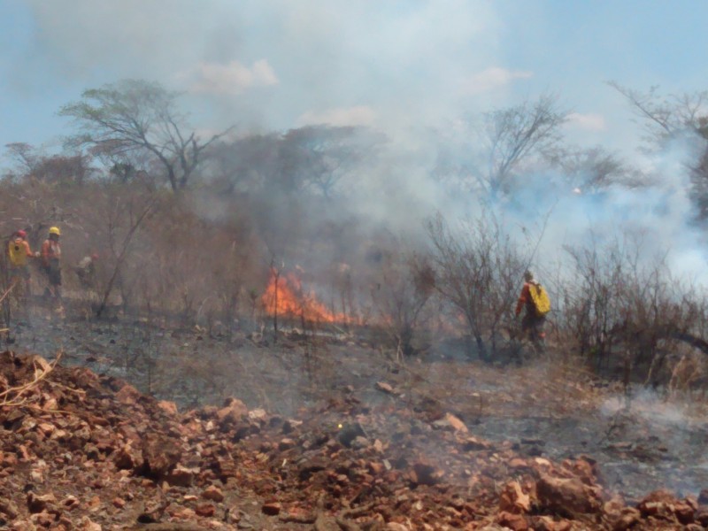 Persisten incendios en la capital chiapaneca