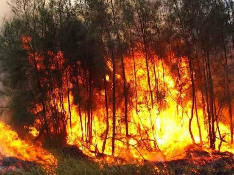 Persisten incendios forestales en Michoacán