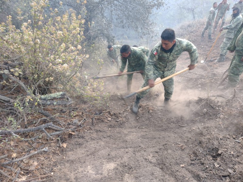 Persisten los incendios forestales en Veracruz; 6 activos