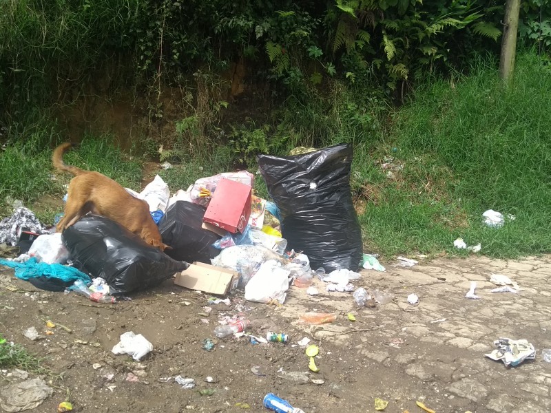 Persisten  problemas con la recolección de basura