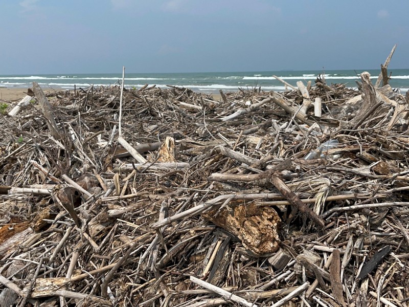 Persisten restos de palizada en playas de Tuxpan