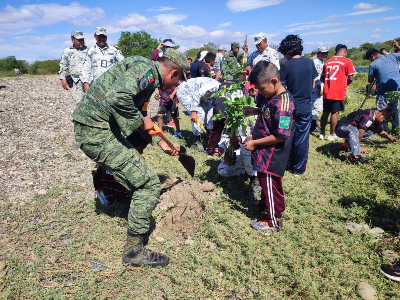 Personal Militar y sociedad civil realizan reforestación en el Istmo