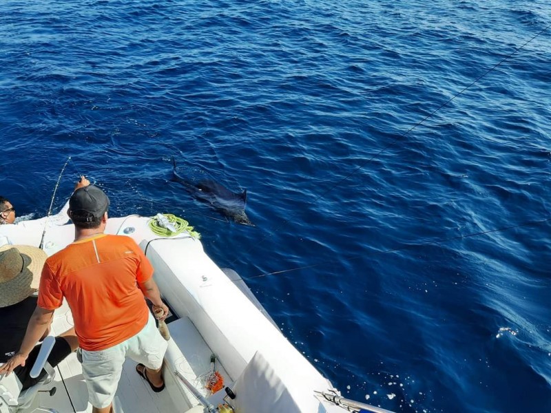 Pesca de altura, se torna difícil por corrientes frías