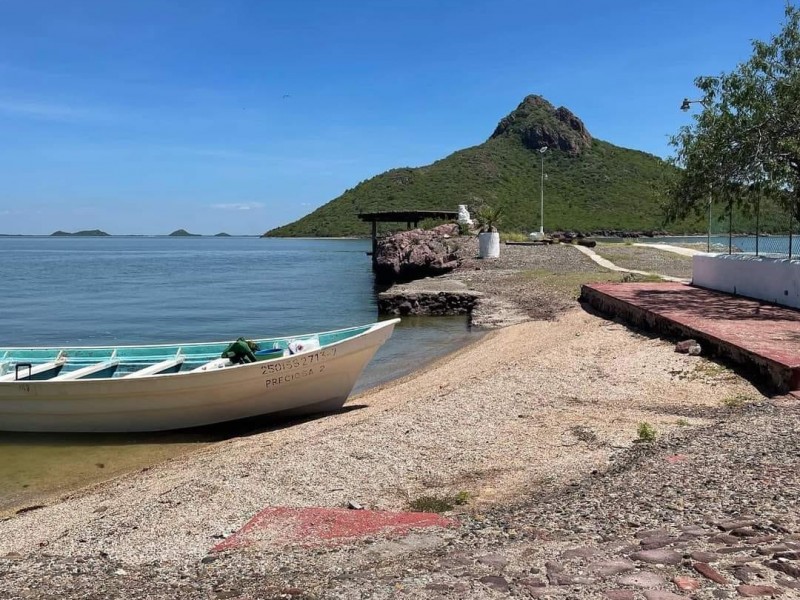 Pesca de camarón apunta a desaparecer en costas de Sinaloa