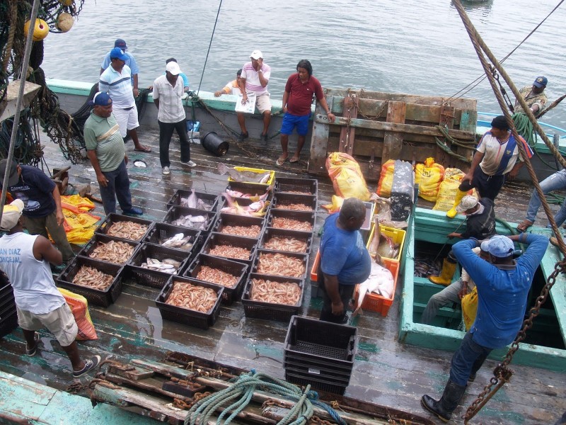 Pesca de camarón debe apegarse a normas oficiales