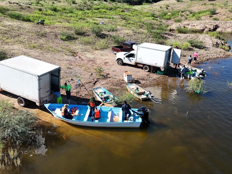 Pesca ilegal en la presa del Novillo en Sonora