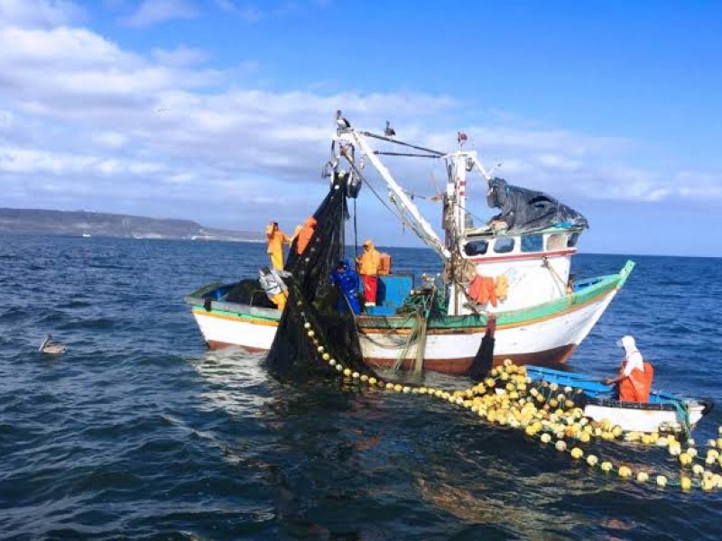 Pesca ilegal goza del visto bueno de gobiernos. Urgen acabarla