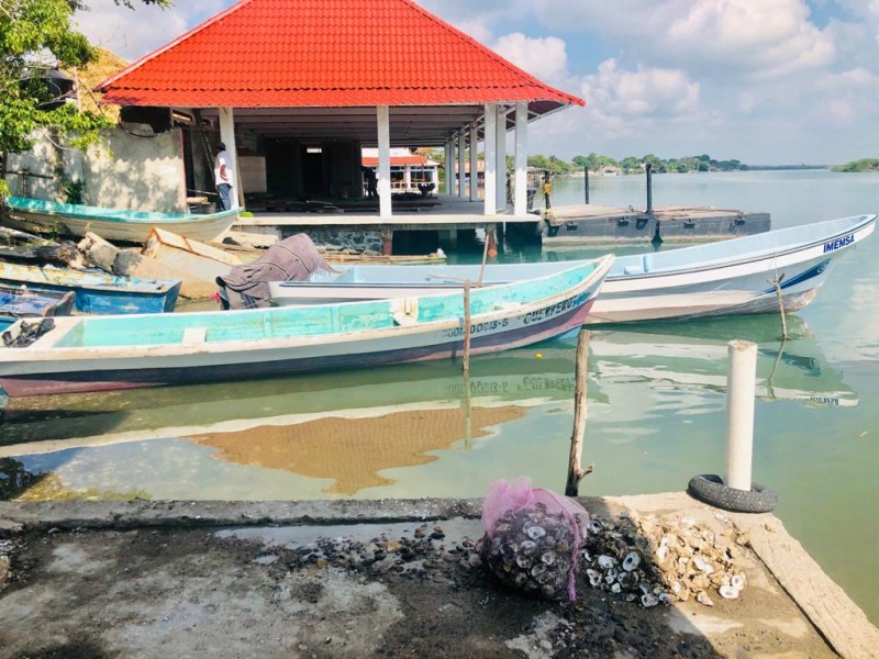 Pesca sin futuro, no hay captura