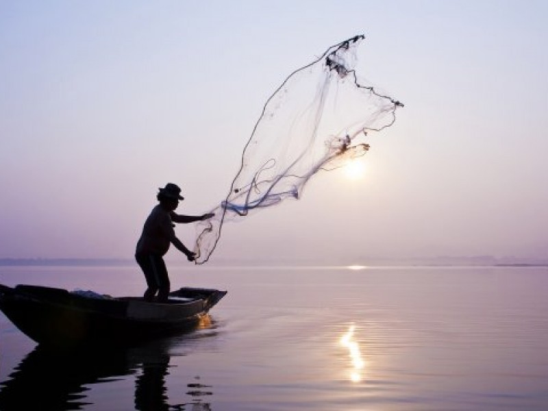 Pesca vigila puertos por veda de camarón en Sinaloa