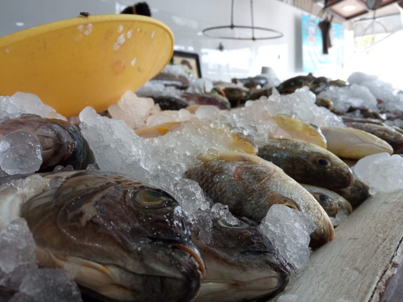 Pescaderías de la región reportan escasez de producto