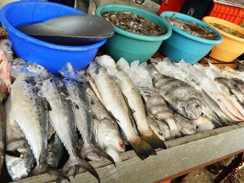 Pescado veracruzano está siendo desplazado por el Chino