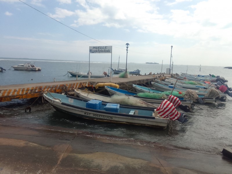 Disminuyó la pesca en Semana Santa: Pescadores