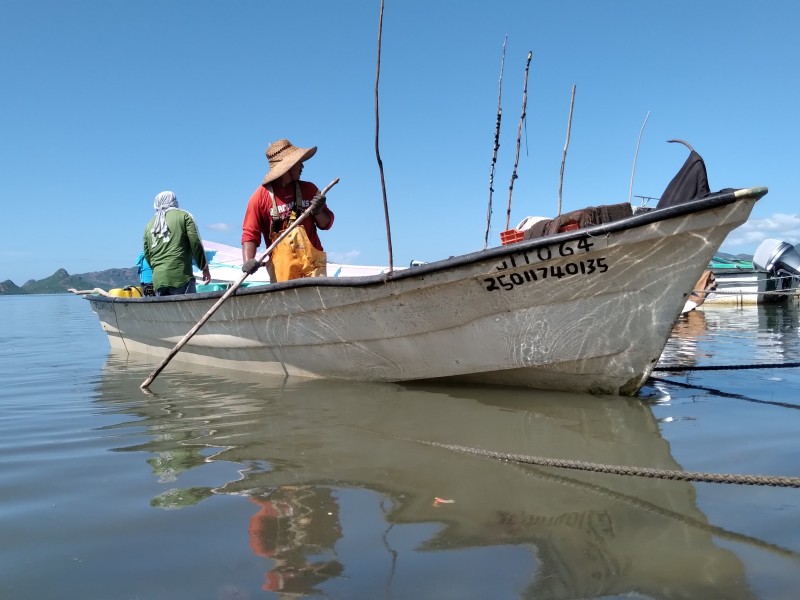 Pescadores advierten graves afectaciones si no se recupera exportación camarón