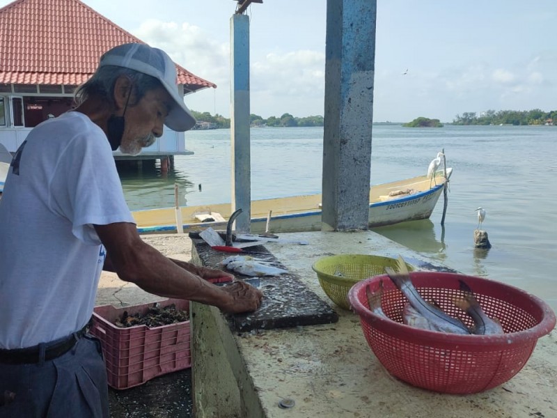 Pescadores con buenas expectativas ante cierre de año