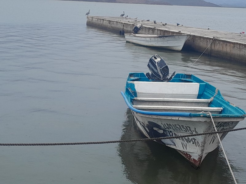 Pescadores de Empalme siguen capturando jaiba