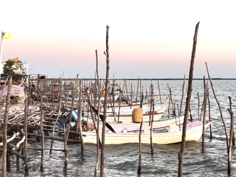Pescadores de Guasave enfrentan crisis severa por escasez de especies