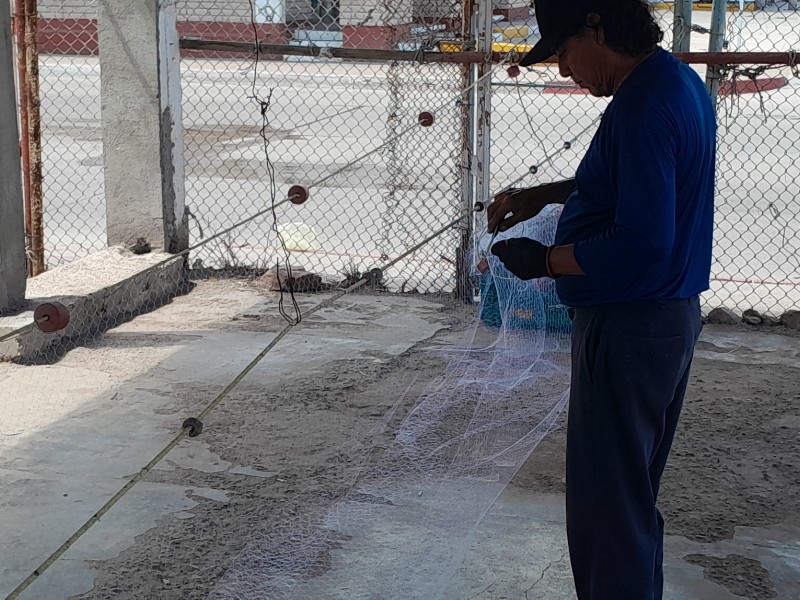 Pescadores de Guaymas se alistan para temporada de camarón