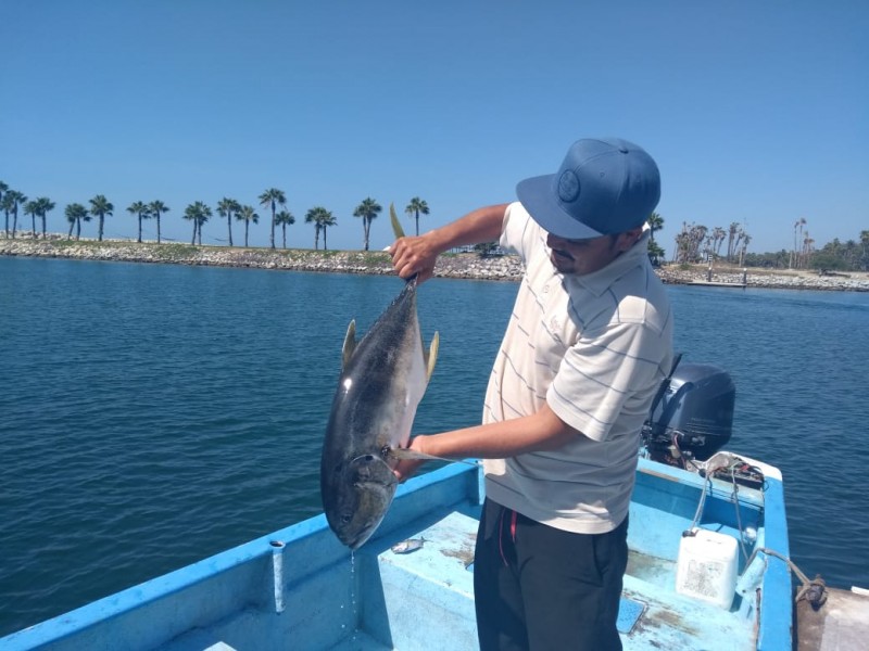 Pescadores de Los Cabos Expresan Necesidades