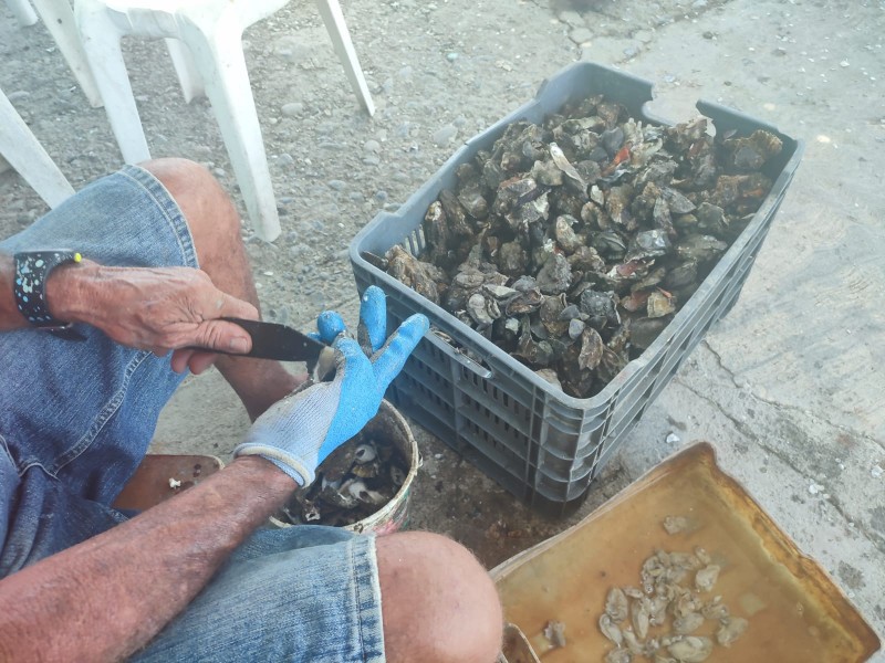 Pescadores de Tuxpan recibieron el Bienpesca