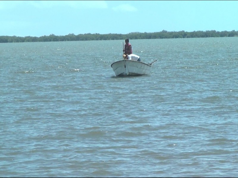 Pescadores de Yavaros en crisis, solo 7% sale por callo