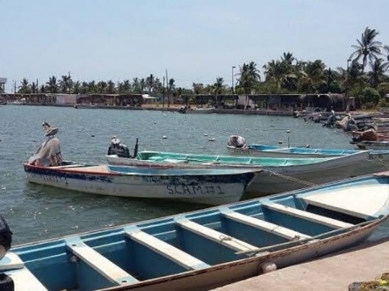 Pescadores: Por el  tiburón dejamos pasar la mejor temporada